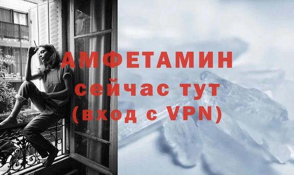 кокс Щигры