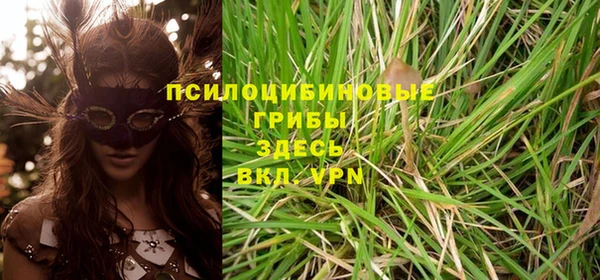скорость mdpv Кинешма