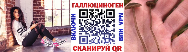 Галлюциногенные грибы мухоморы  как найти закладки  Михайлов 